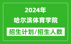 2024年哈尔滨体育学院各省招生计划及各专业招生人数是多少？