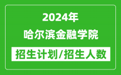 2024年哈尔滨金融学院各省招生计划及各专业招生人数是多少？