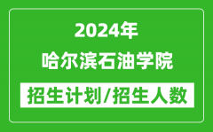 2024年哈尔滨石油学院各省招生计划及各专业招生人数是多少？