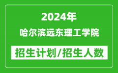 2024年哈尔滨远东理工学院各省招生计划及各专业招生人数是多少？