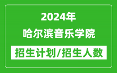 2024年哈尔滨音乐学院各省招生计划及各专业招生人数是多少？