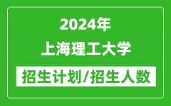 2024年上海理工大学各省招生计划及各专业招生人数是多少？