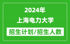 2024年上海电力大学各省招生计划及各专业招生人数是多少？