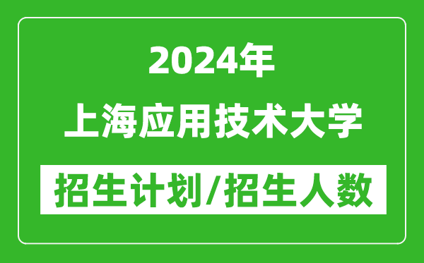 2024年上海应用技术大学各省招生计划及各专业招生人数是多少