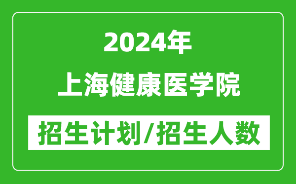 2024年上海健康医学院各省招生计划及各专业招生人数是多少
