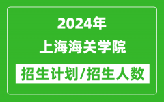 2024年上海海关学院各省招生计划及各专业招生人数是多少？