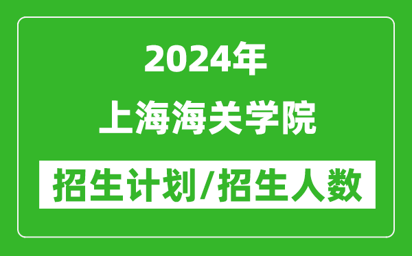 2024年上海海关学院各省招生计划及各专业招生人数是多少