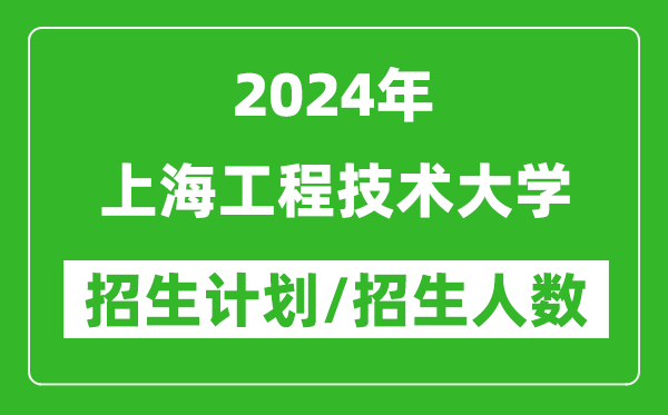 2024年上海工程技术大学各省招生计划及各专业招生人数是多少