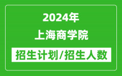 2024年上海商学院各省招生计划及各专业招生人数是多少？