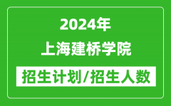 2024年上海建桥学院各省招生计划及各专业招生人数是多少？