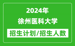 2024年徐州医科大学各省招生计划及各专业招生人数是多少？