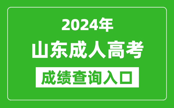 2024年山东成人高考成绩查询入口网址(https://www.sdzk.cn/)