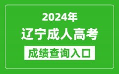 2024年辽宁成人高考成绩查询入口网址(https://www.lnzsks.com/)