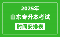 2025年山东专升本考试时间表_具体是什么时候