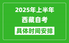 2025年上半年西藏自考时间安排_什么时候开始考试