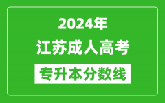 2024年江苏成人高考专升本录取分数线一览表