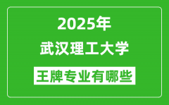 2025武汉理工大学王牌专业有哪些？