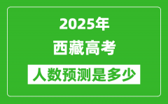 2025年西藏高考人数是多少_西藏高考人数预测