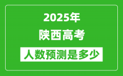 2025年陕西高考人数是多少_陕西高考人数预测