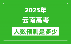 2025年云南高考人数是多少_云南高考人数预测