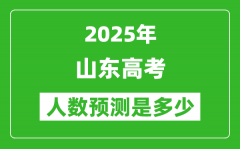 2025年山东高考人数是多少_山东高考人数预测