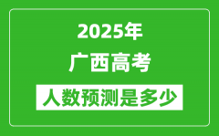 2025年广西高考人数是多少_广西高考人数预测