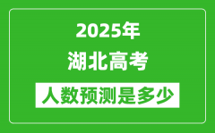 2025年湖北高考人数是多少_湖北高考人数预测