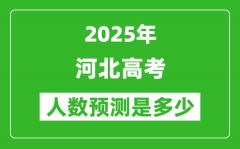 2025年河北高考人数是多少_河北高考人数预测