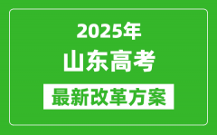 2025年山东高考改革方案_山东最新高考模式是什么？