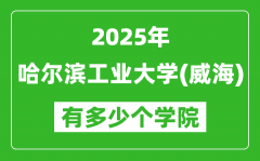 哈尔滨工业大学(威海)2025高考选科要求_各专业选科对照表