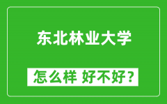 东北林业大学怎么样 好不好？附最新全国排名情况