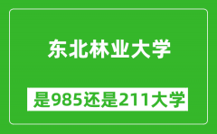 东北林业大学是985还是211大学？