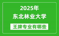 2025东北林业大学王牌专业有哪些_东北林业大学最好的专业排行榜