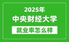 2025中央财经大学就业率怎么样_就业率最高的专业是什么？