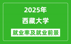 2025西藏大学就业率及就业前景怎么样_好就业吗？