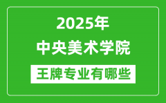 2025中央美术学院王牌专业有哪些_中央美术学院最好的专业排行榜