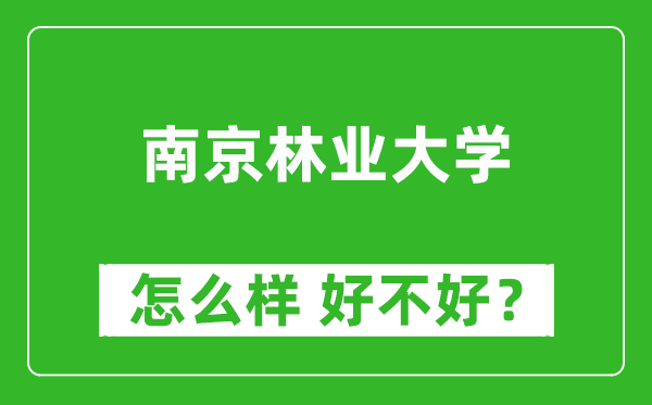 南京林业大学怎么样 好不好？附最新全国排名情况