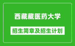 西藏藏医药大学2025年高考招生简章及各省招生计划人数