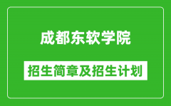 成都东软学院2025年高考招生简章及各省招生计划人数