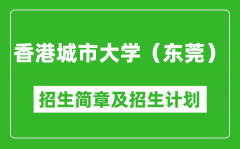 香港城市大学（东莞）2025年高考招生简章及各省招生计划人数