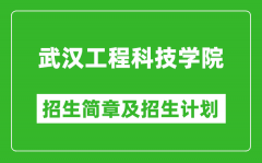 武汉工程科技学院2025年高考招生简章及各省招生计划人数