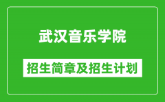 武汉音乐学院2025年高考招生简章及各省招生计划人数