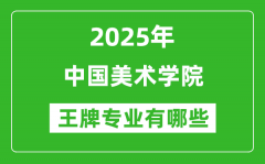 2025年中国美术学院王牌专业有哪些？