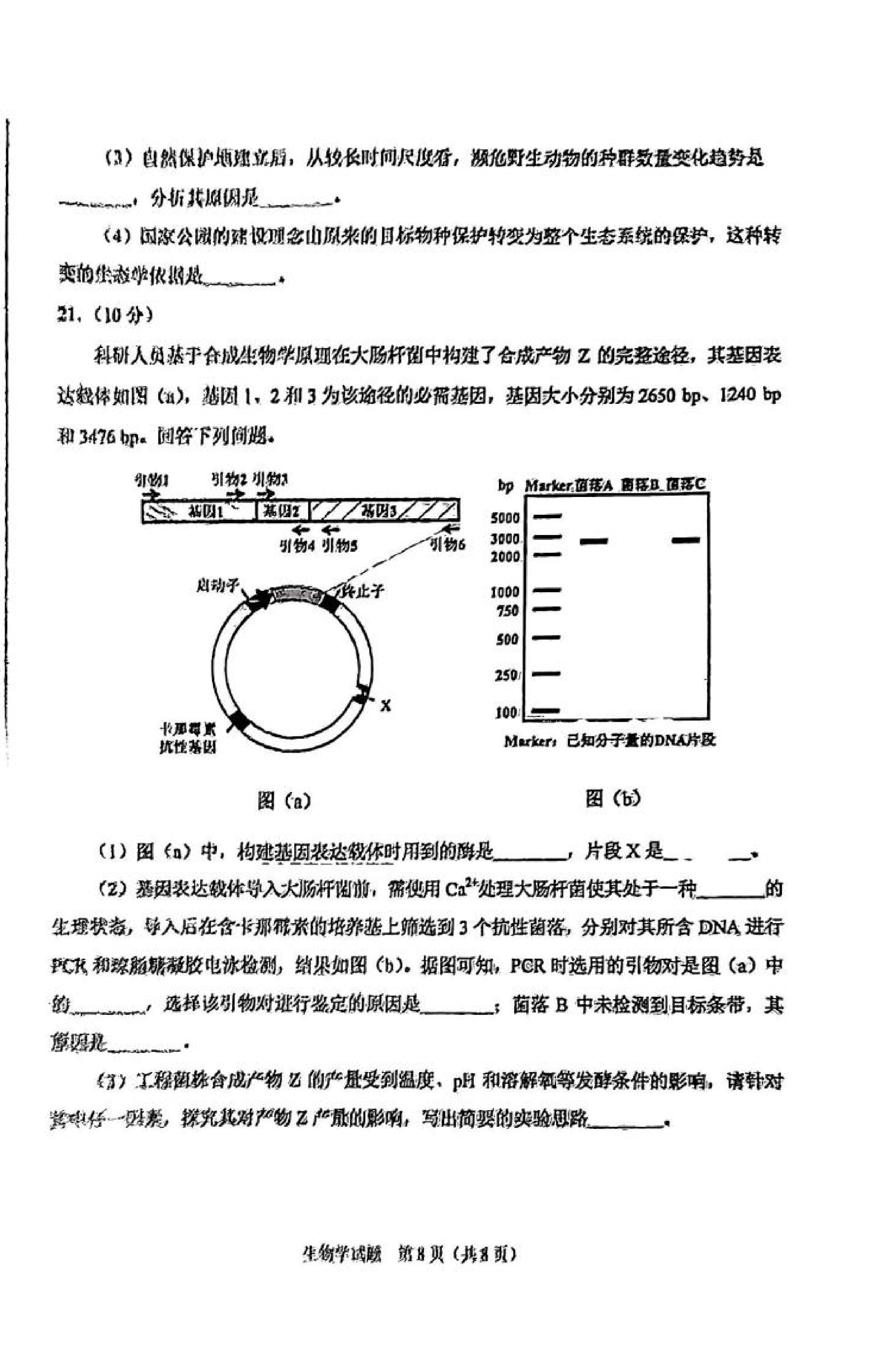 2025年八省联考生物学试卷及答案解析