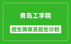 青岛工学院2025年招生简章_各省高考招生计划人数一览表