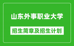 山东外事职业大学2025年招生简章_各省高考招生计划人数一览表