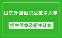 山东外国语职业技术大学2025年招生简章_各省高考招生计划人数一览表