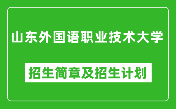 山东外国语职业技术大学2025年招生简章,各省高考招生计划人数一览表