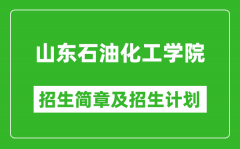 山东石油化工学院2025年招生简章_各省高考招生计划人数一览表