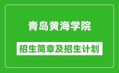 青岛黄海学院2025年招生简章_各省高考招生计划人数一览表